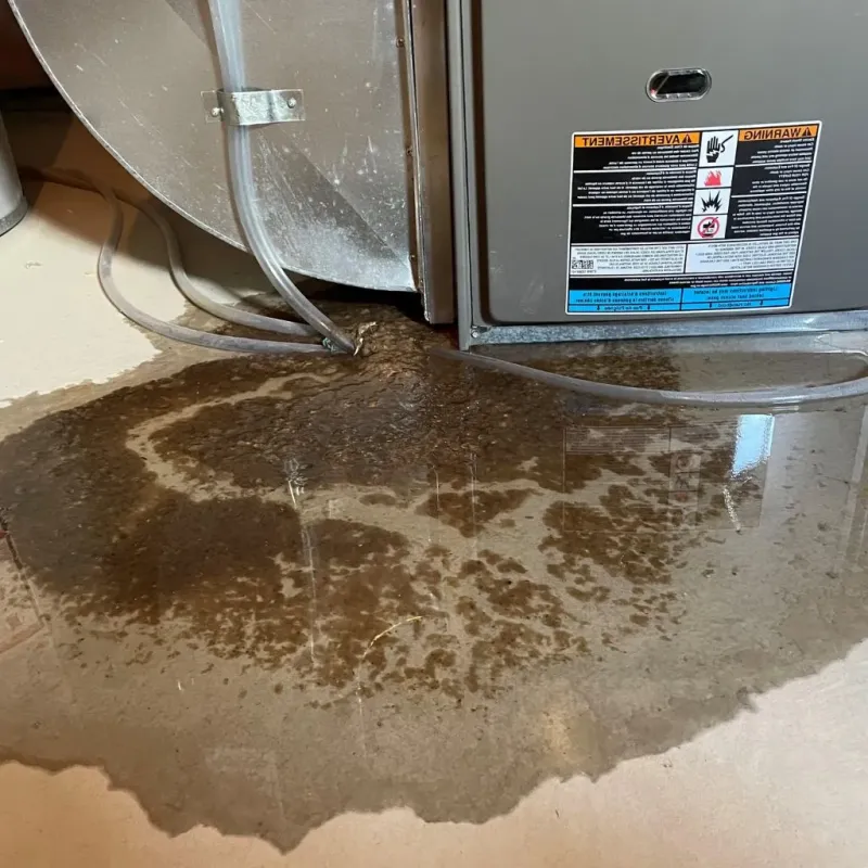 Pipe Burst and Leak Restoration in Mountain Home, AR