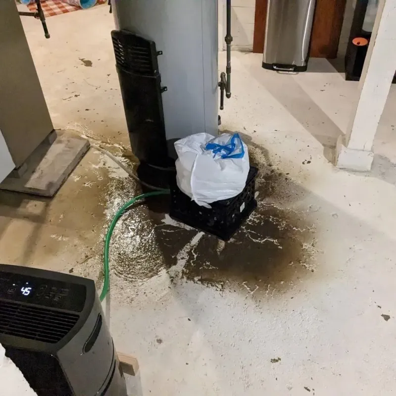 Sewage Backup Cleanup Service in Mountain Home, AR